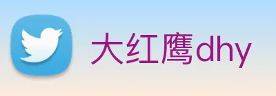 大红鹰dhy Logo